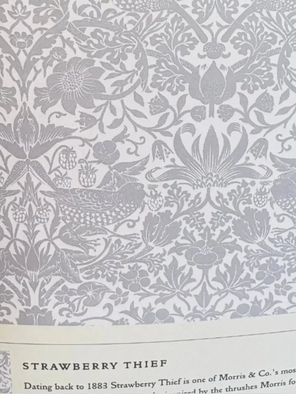 Morris & Co Jacquard Gray Strawberry Thief KING Blanket Faux Fur Reverse Luxury